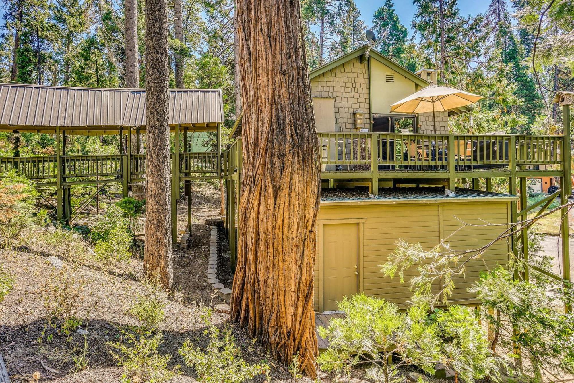 Cozy Bears Hideaway Cabin About 3 Mi To Shaver Lake! 外观 照片